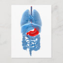 Search for internal postcards No people