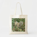 Search for acorns bags Forest