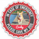 Search for in case of emergency stickers Pet