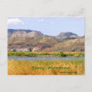 Search for for terry postcards River