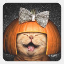 Search for cat hair stickers Halloween