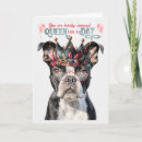 Search for boston terrier birthday cards Dogs