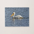 Search for pelican puzzles Water