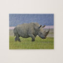 Search for rhinoceros puzzles Africa