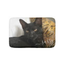 Search for flat bed Pet photo