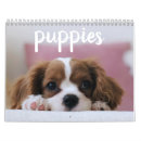 Search for cute calendars Animal