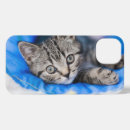 Search for cutest iphone cases Tabby cat