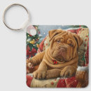 Search for shar pei key rings Pet