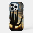 Search for desert landscape iphone cases Sunset