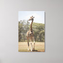 Search for wildlife canvas prints Blue