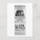Search for barnums postcards Circus