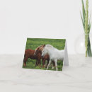 Search for laughing animals postcards Horses