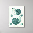 Search for seashell art Ocean