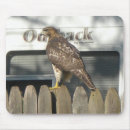 Search for hawks mousepads Animal