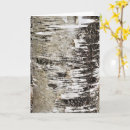 Search for birch bark cards Wood