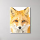 Search for arctic fox art Alaska