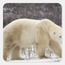 Search for churchill stickers Nature