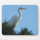 Search for egrets mousepads Nature