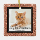 Search for feline christmas tree decorations Cats