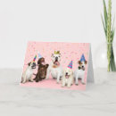 Search for golden retriever puppy birthday cards Puppies