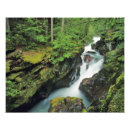 Search for public land posters Environment