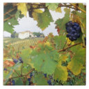Search for tuscany tiles Europe