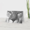 Search for cougar cards Wildlife