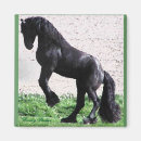 Search for rearing magnets Horses