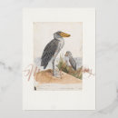 Search for funny bird christmas cards Birdwatching