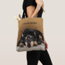 Search for purebred accessories Canine