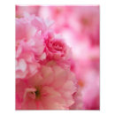Search for creations photography Flower