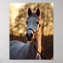 Search for equine image art Horse lover