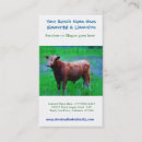 Search for cattle business cards Ranch