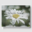 Search for daisy guest books Flower