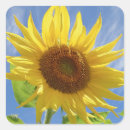 Search for cheery stickers Flower