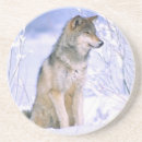 Search for sitting coasters Snow