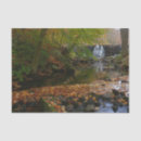 Search for waterfall tissue paper Nature
