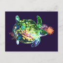 Search for turtle painting postcards Blue