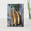 Search for ginger cat birthday cards Animal