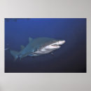 Search for wreck posters Nature