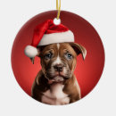 Search for staffordshire bull terrier christmas tree decorations Puppy