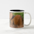 Search for tusk mugs Animal
