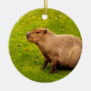 Search for capybara christmas tree decorations Animal