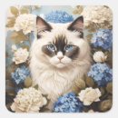 Search for ragdoll stickers Feline