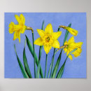 Search for daffodil art Watercolor