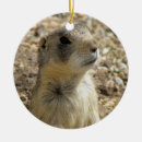 Search for prairie christmas tree decorations Dog