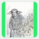 Search for cute black sheep stickers Cool