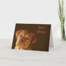 Search for worry Dog