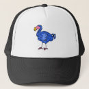 Search for extinction hats Wild