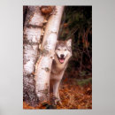 Search for alves posters Wildlife